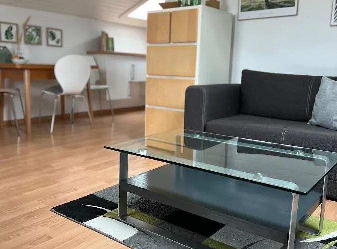Dachgeschosswohnung In Weiherhammer